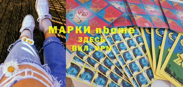 шишки Сосновый Бор