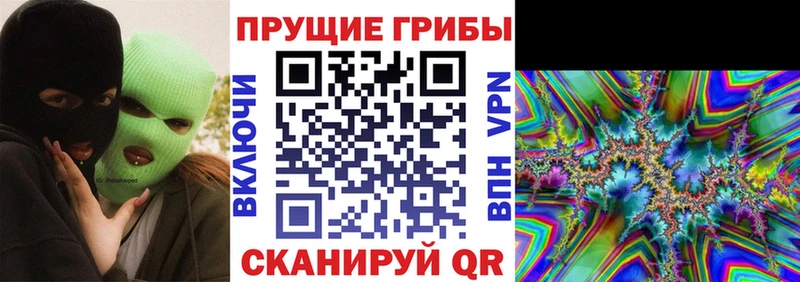 где купить наркотик Серов Галлюциногенные грибы Psilocybe